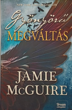 Jamie Mcguire - Gynyr megvlts