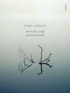 Visky Andrs - Nevezd csak szeretetnek