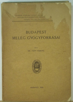 Budapest meleg gygyforrsai
