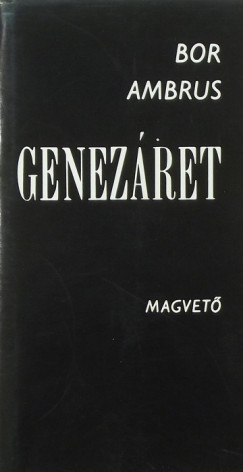 Bor Ambrus - Genezret