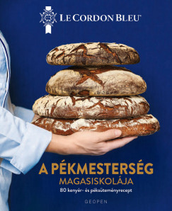 A Pkmestersg magasiskolja