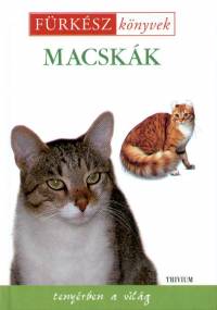 Deborah Gill - Macskk