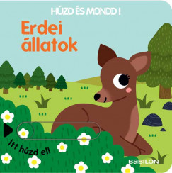 Erdei llatok - Hzd s mondd!