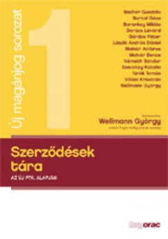 Dr. Wellmann Gyrgy  (Szerk.) - Szerzdsek tra - Az j Ptk. alapjn
