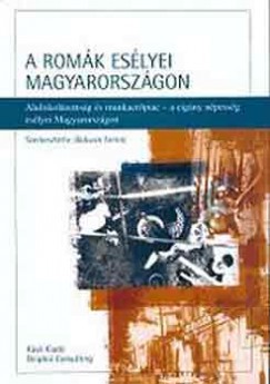 Babusik Ferenc  (Szerk.) - A romk eslyei Magyarorszgon