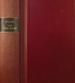 Ben Ames Williams - Az idegen n