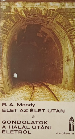 Raymond Avery Moody - Élet az élet után