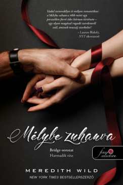 Meredith Wild - Mlybe zuhanva