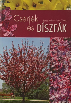Boros Anikó - Cserjék és díszfák