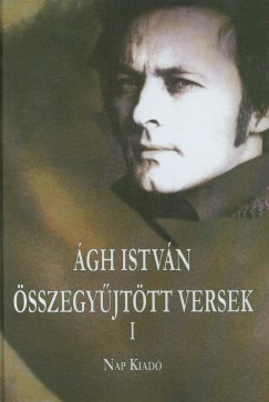 Szilgyi Ptern - Kzpiskolai matematika felvteli feladatsorok - 8. osztly