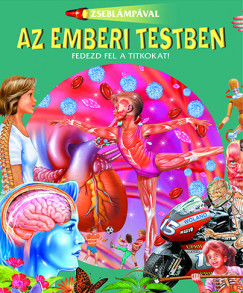 Zseblmpval - Az emberi testben