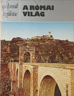 Michael Vickers - A római világ