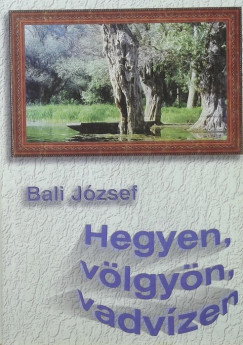 Bali Jzsef - Hegyen, vlgyn, vadvizen