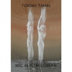 Torday Tamás - Míg el nem lobban