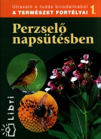 Dosztnyi Imre  (Szerk.) - Perzsel napstsben