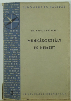 Dr. Andics Erzsbet - Munksosztly s nemzet