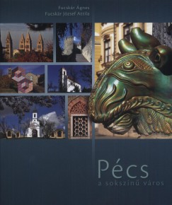Fucskr Jzsef Attila - Fucskr gnes - Pcs a sokszn vros