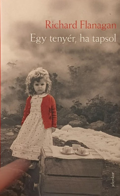 Richard Flanagan - Egy tenyér, ha tapsol