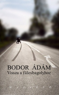 Bodor dm - Vissza a flesbagolyhoz