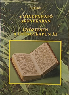 Elisabeth Elliot - A mindenhat rnykban - Gyztesen a gyngykapun t