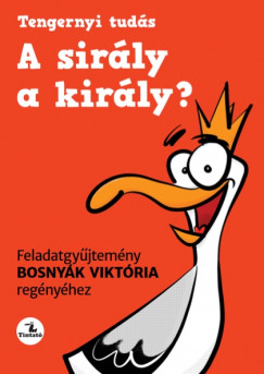 Bosnyk Viktria - Duds Gyz - Hevrn Kany Andrea - A sirly a kirly? - Feladatgyjtemny Bosnyk Viktria regnyhez