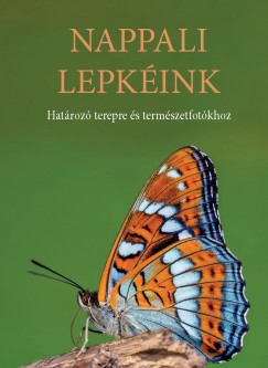 Nappali lepkink