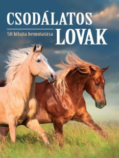 Csodálatos lovak