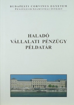 Halad vllalati pnzgy pldatr