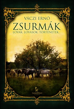 Vczi Ern - Zsurmk