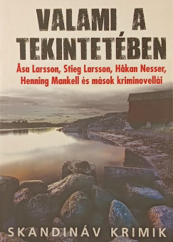 John-Henri Holmberg (SZERK.) - Valami a tekintetében