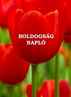 Miskovics Gbor - Boldogsgnapl - kemny kts