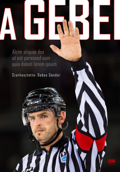 Dobos Sándor  (Szerk.) - A Gebei