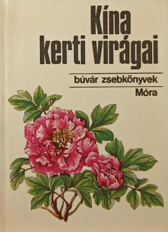 Ksa Gza - Kna kerti virgai