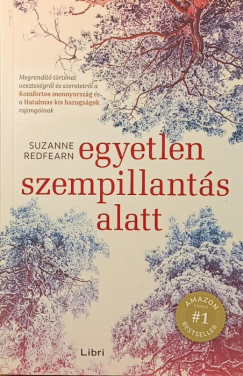 Suzanne Redfearn - Egyetlen szempillantás alatt