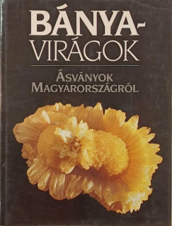 Bányavirágok - Ásványok Magyarországról