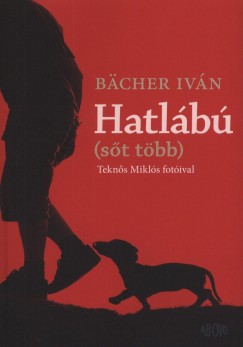 Bcher Ivn - Hatlb
