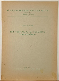 Lengyel Ádám - Hol tartunk az ágaskukorica nemesítésében?