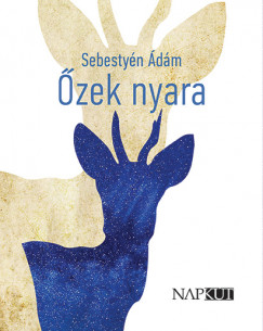 Sebestyn dm - zek nyara