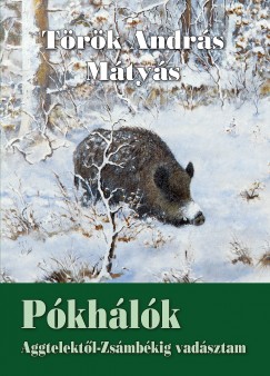 Trk Andrs Mtys - Pkhlk