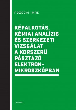 Pozsgai Imre - Képalkotás, kémiai analízis és szerkezeti vizsgálat a korszerű pásztázó elektronmikroszkópban