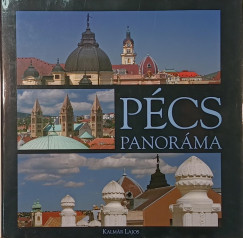 Kalmár Lajos - Pécs panoráma
