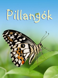 Stephanie Turnbull - Kis k�nyvt�r: Pillang�k