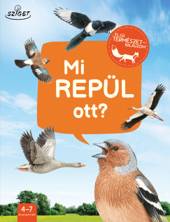Mi repül ott?
