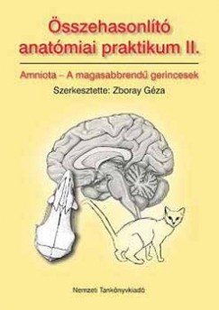 sszehasonlt anatmiai praktikum II.
