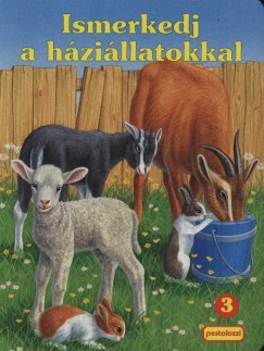 Bak Krisztina - Ismerkedj a hzillatokkal - 3