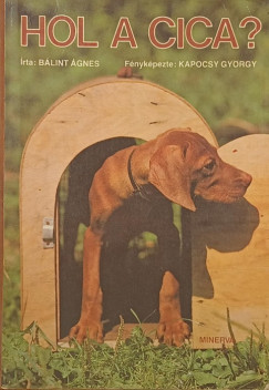 Bálint Ágnes - Hol a cica?