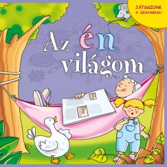 Az n vilgom