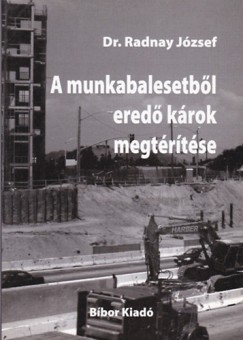 Dr. Radnay Jzsef - A munkabalesetbl ered krok megtrtse