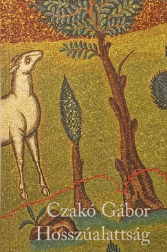 Czak� G�bor - Hossz�alatts�g (DEDIK�LT!)