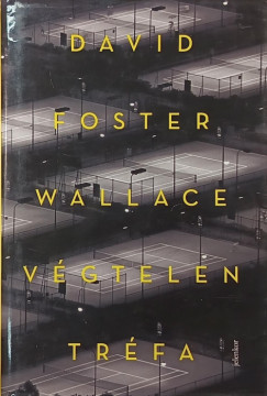 David Foster Wallace - V�gtelen tr�fa